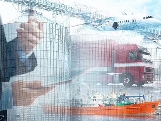 Multi-domain Simulation