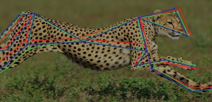 AFRICAN ROBOTICS UNIT - Deep Learning-Based Motion Capture System Helps Study Cheetahs in the Wild